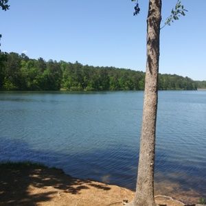 Meet your Posher, Reggie